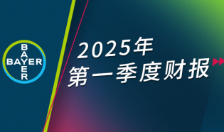 2025Q1财報封面