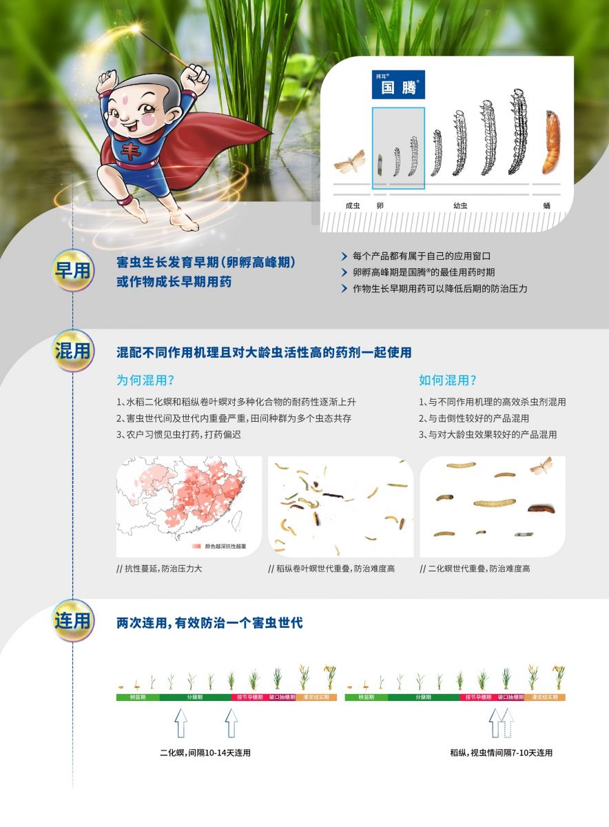 早混連示意